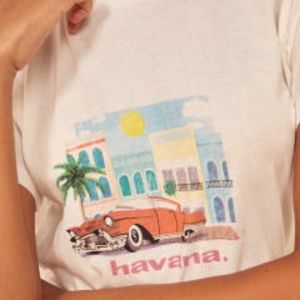 NWT, Reformation, Perfect Vintage Tee, Havana, Med